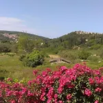 Emily, Soothing Experience, Perfect Getaway *