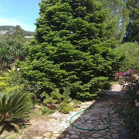 Emily, Soothing Experience, Perfect Getaway